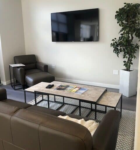 comfortable living area for patients at the Denver Detox Center with leather couches and chairs, a television is hung on the wall and a large potted plant is in the corner